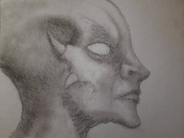 20250417_105549.jpg
