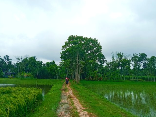 IMG_20250801_200108.jpg