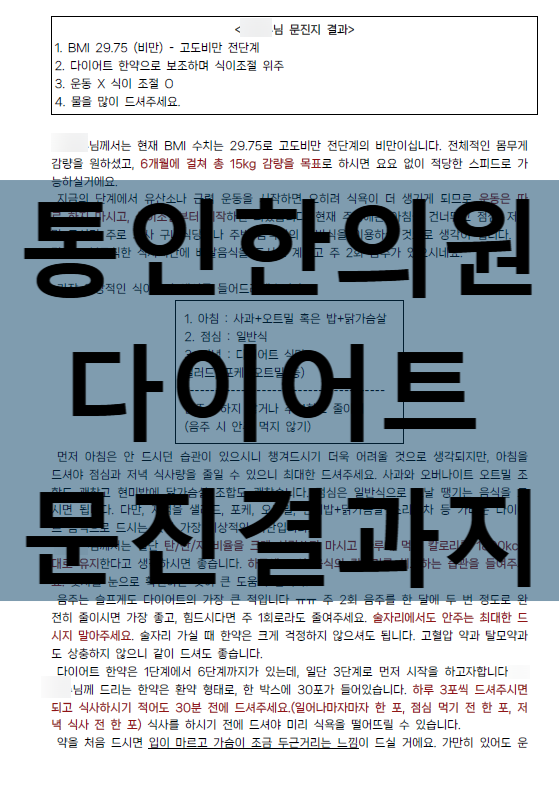 4. 통인한의원 다이어트 문진결과지.png