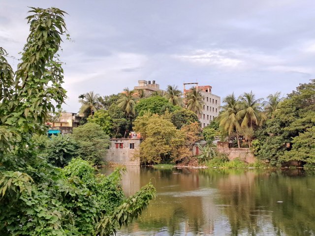 20240825_180754.jpg