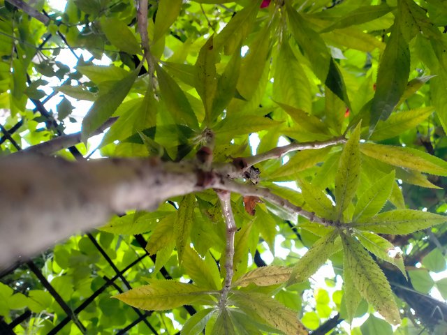 IMG20250716094132.jp