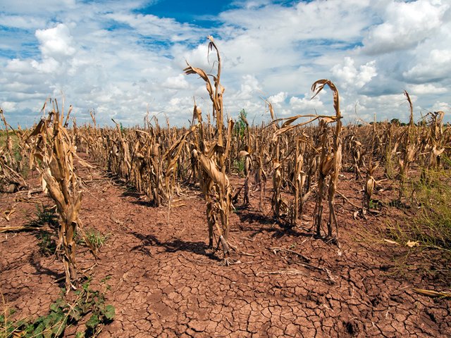 drought-tx-800.jpg