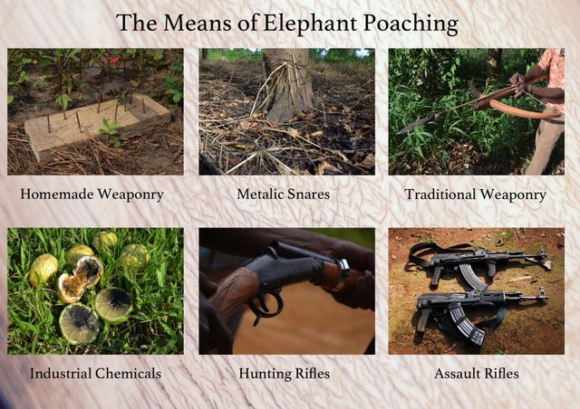 009 Means of elephant poaching.jpg