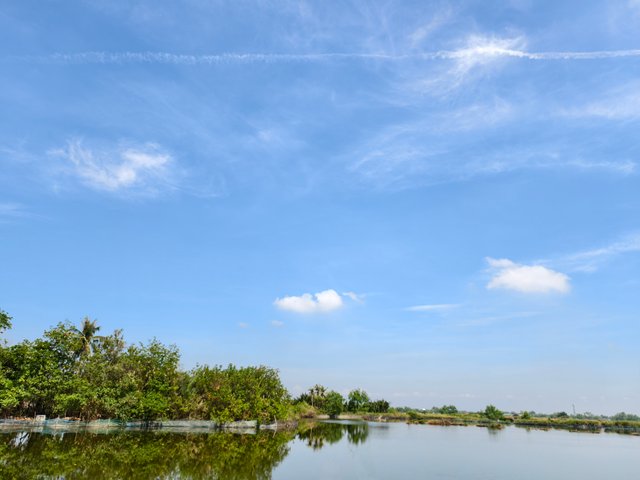 IMG_20250503_052441.jpg
