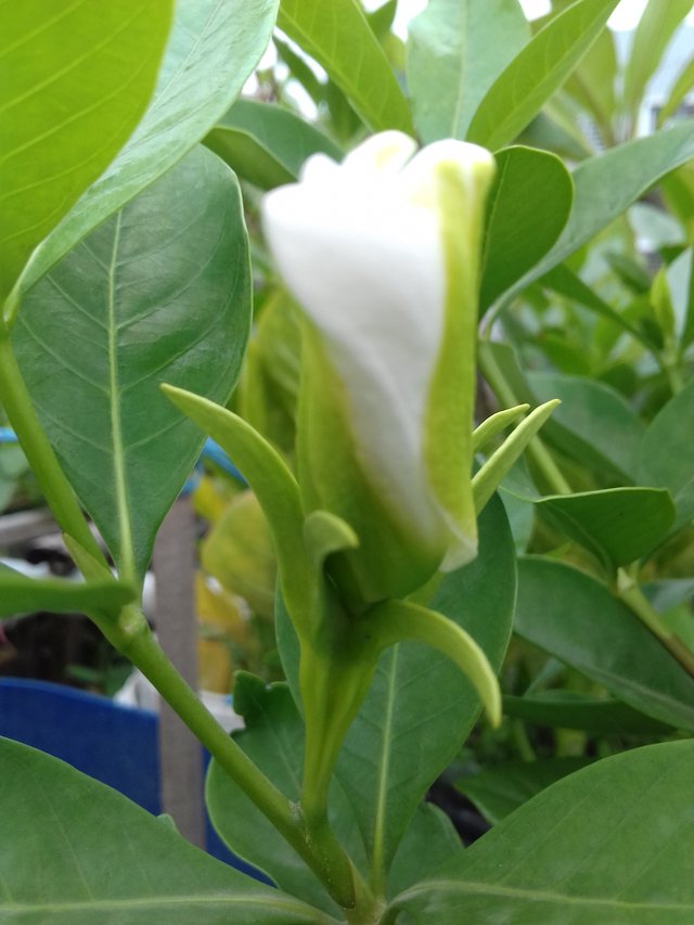 20190712_115133.jpg
