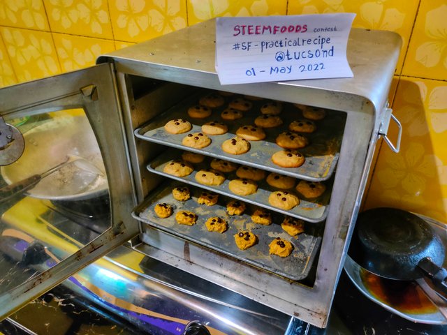 IMG20220501131249.jpeg
