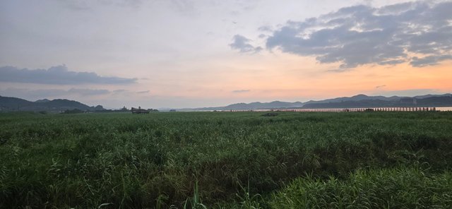 KakaoTalk_20250809_083957286.jpg