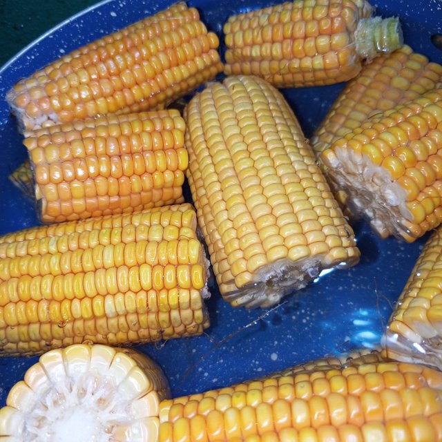 1000074089.jpg