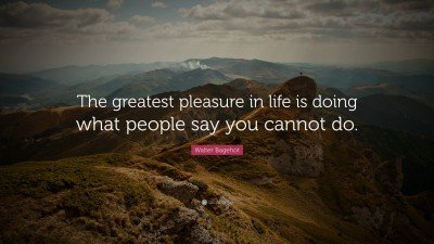 17449-Walter-Bagehot-Quote-The-greatest-pleasure-in-life-is-doing-what.jpg