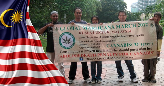 23-cannabis-in-Malaysia_4K.jpg