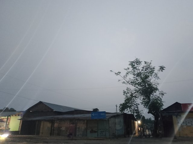 1000037463.jpg