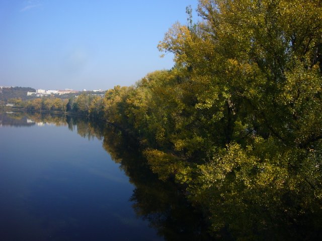 vltava holešovice.JPG