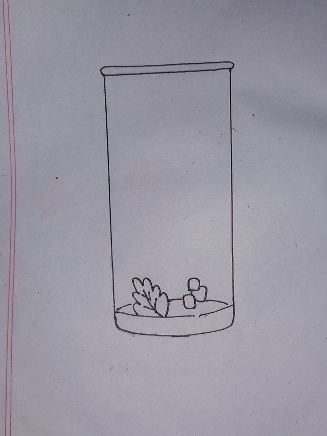 20251009_171613.jpg