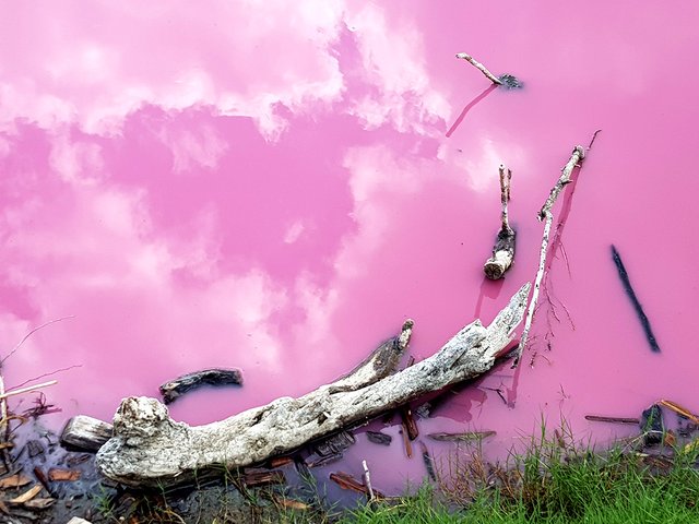 pink-lake-3.jpg