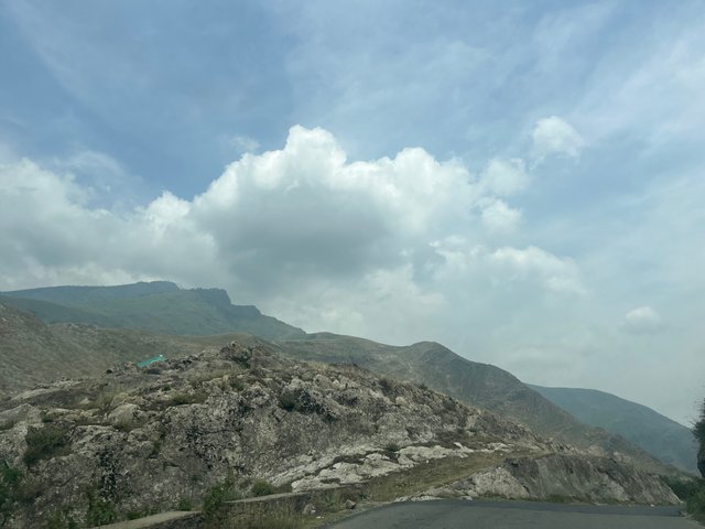 IMG_4527.jpeg