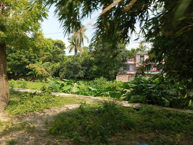 IMG_20240918_101855_532.jpg