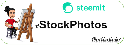 StockPhotos general 1.png