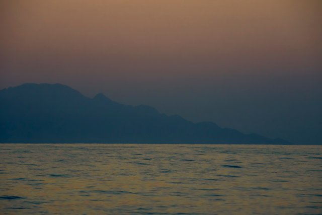 2022_06_22__053761.jpg
