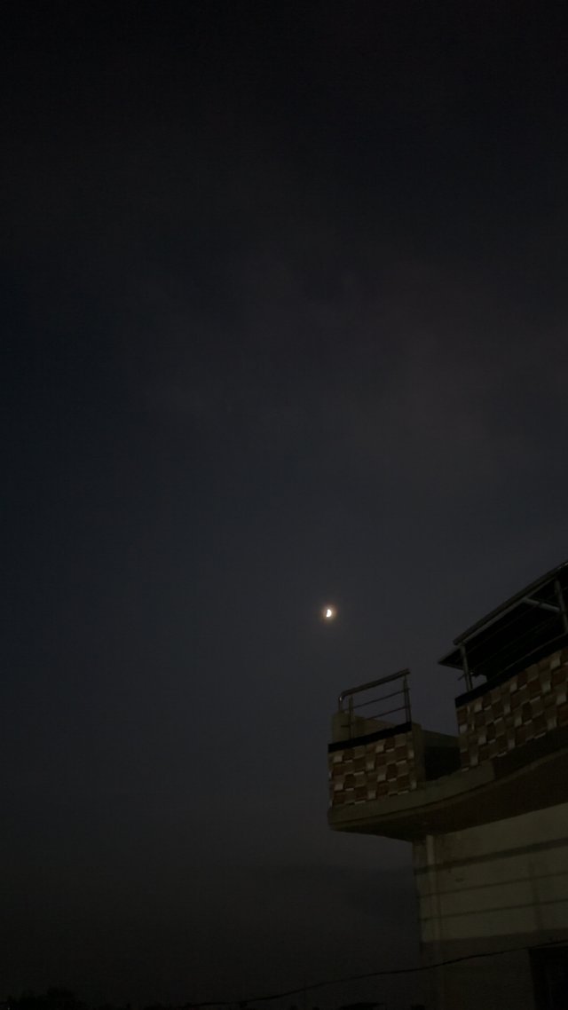 IMG_6793.jpeg