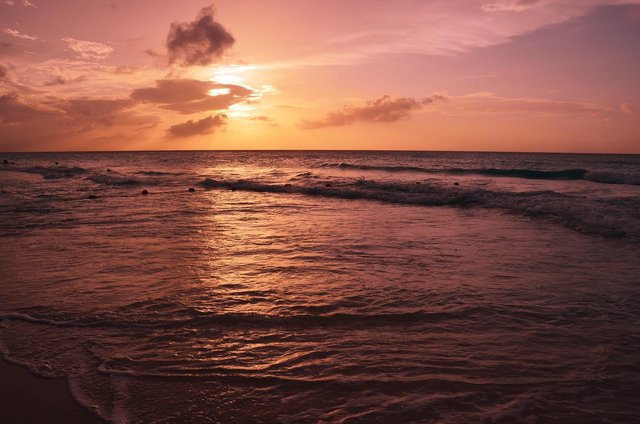 cuba-beach-4153694_1280.jpg