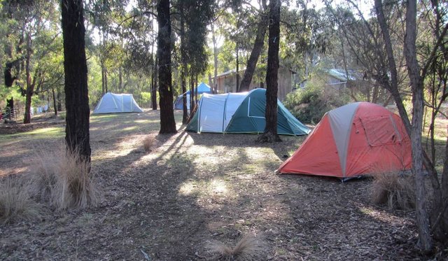 Tallawalla-Tents.jpg