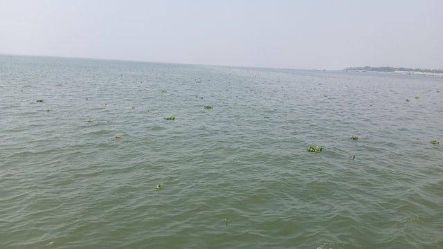 IMG_20250308_121449_4.jpg