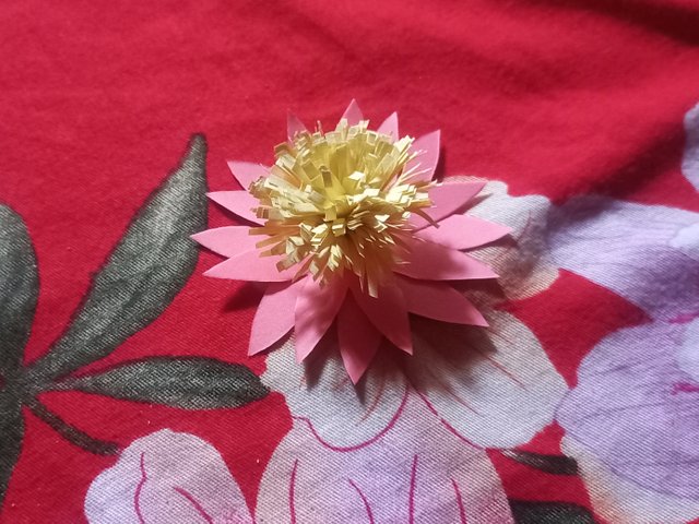 20250810_114937.jpg