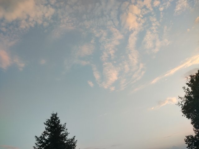 IMG_20250912_192024_HDR.jpg