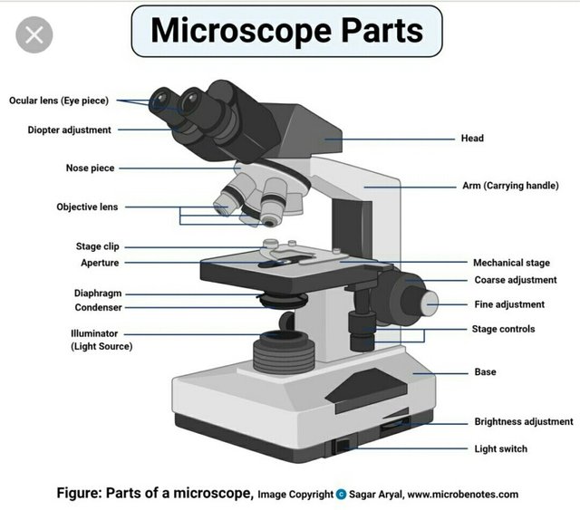 7b4bio5hobgskW8qdPdvSqcwwJTvbiCMpGmRey1Rtd8H5rZw49EfXj2ehEBU7H7zcVav4Ks15cZ9PQHCkB3xNR2YdNUPxyosu9DxAyZZxrj2deEChdhoxVC1aabEvNAHgMchEBNcLLeBqCLwQu9rhTTUgs4i.jpeg