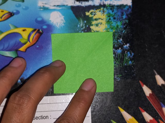 20250424_120404.jpg