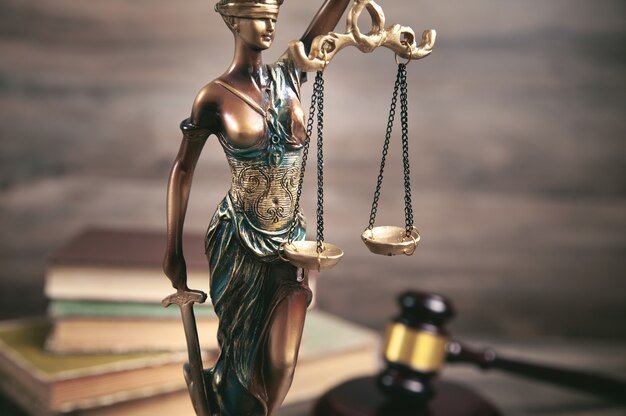 statue-lady-justice-book-gavel_220873-5169.jpg