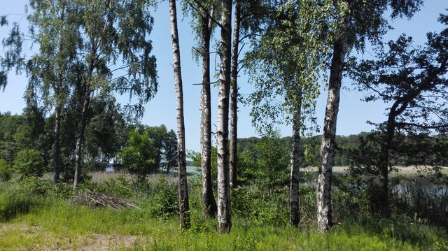 IMG_20180601_142422.jpg