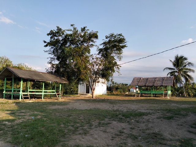 6976.jpg