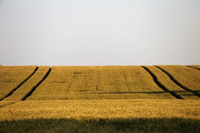 agriculture-4261639_640.jpg