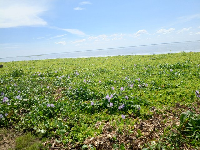 IMG_20251005_102825_830.jpg