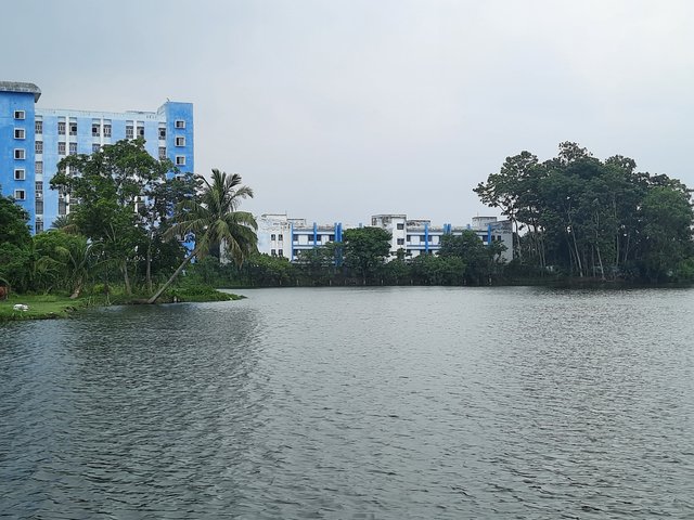 20250531_122736.jpg