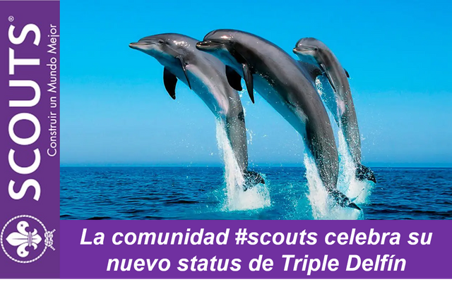 Triple Delfin Scouts.png