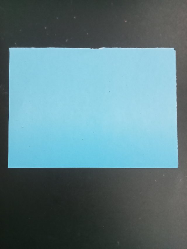 1000026146.jpg