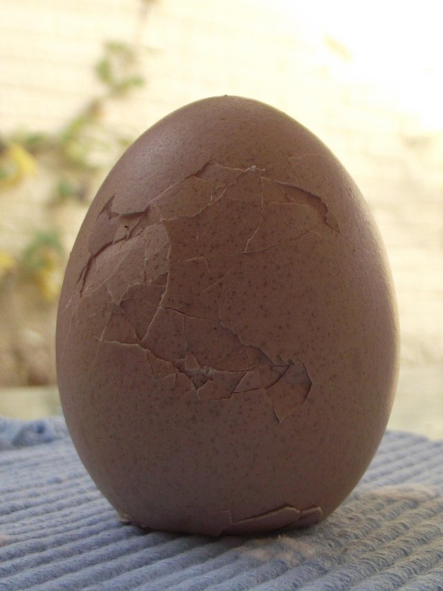 egg-2727922_1280.jpg