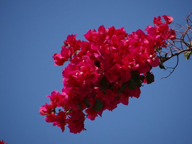 DSC07405.JPG