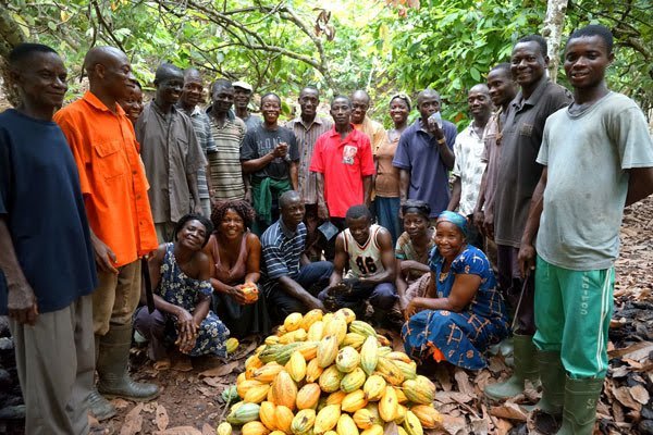 story_cocoa-farmers-band-together-for-profits-1.jpg