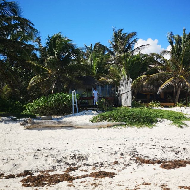 Tulum Beach 8.jpg