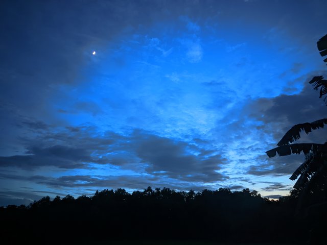 20250801_190818.jpg