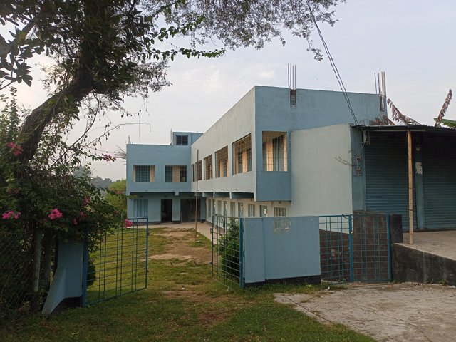 IMG20250910060920.jpg