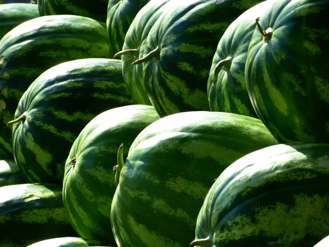 melons-water-melons-fruit-green-59830.jpeg