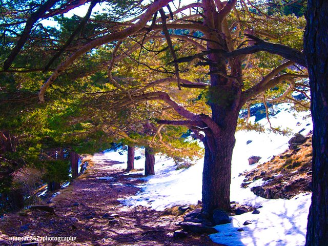 DSCN6933_edited.jpg