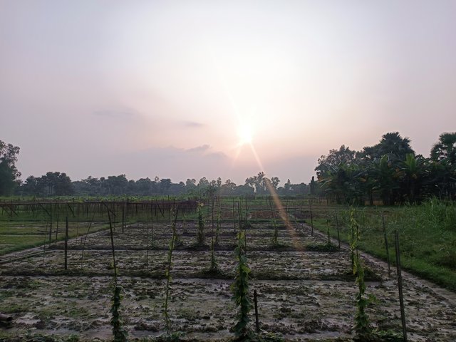 1000015676.jpg