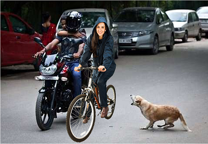 perro ladra bici.png