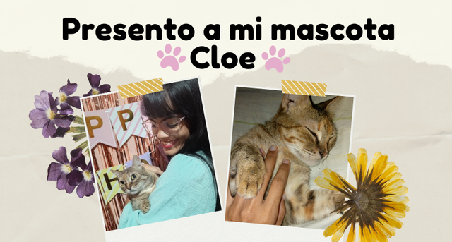 Añadir un título.png
