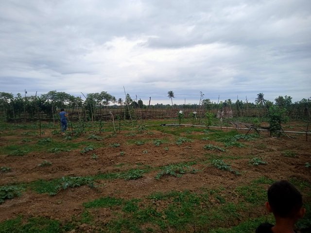 IMG20250903165023.jpg